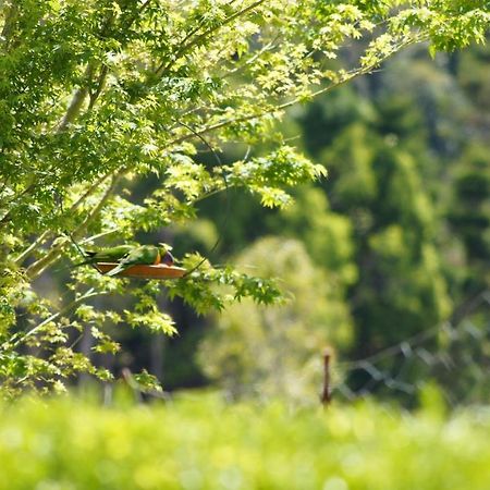 La Dolce Vita Beechmont Εξωτερικό φωτογραφία